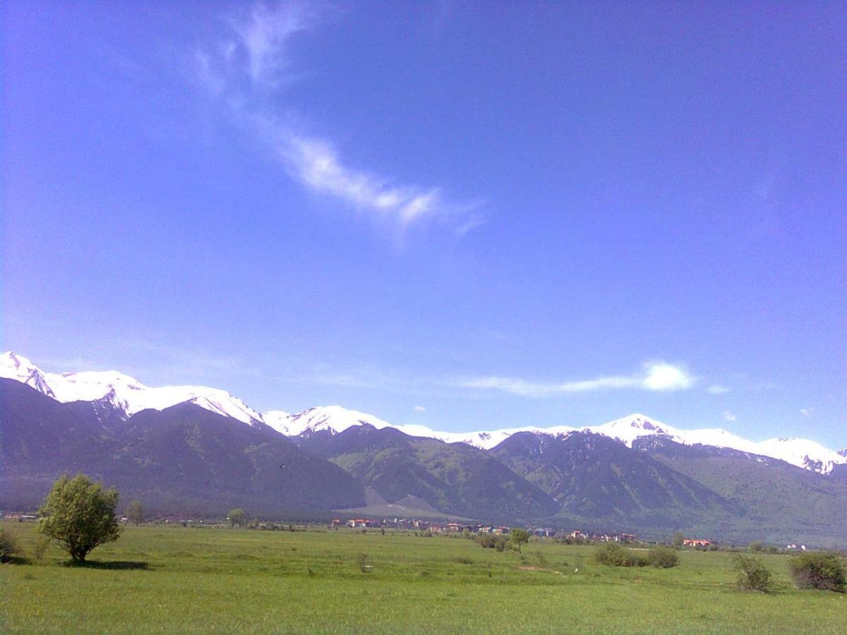 Villa Kalina Apartments Bansko Dış mekan fotoğraf