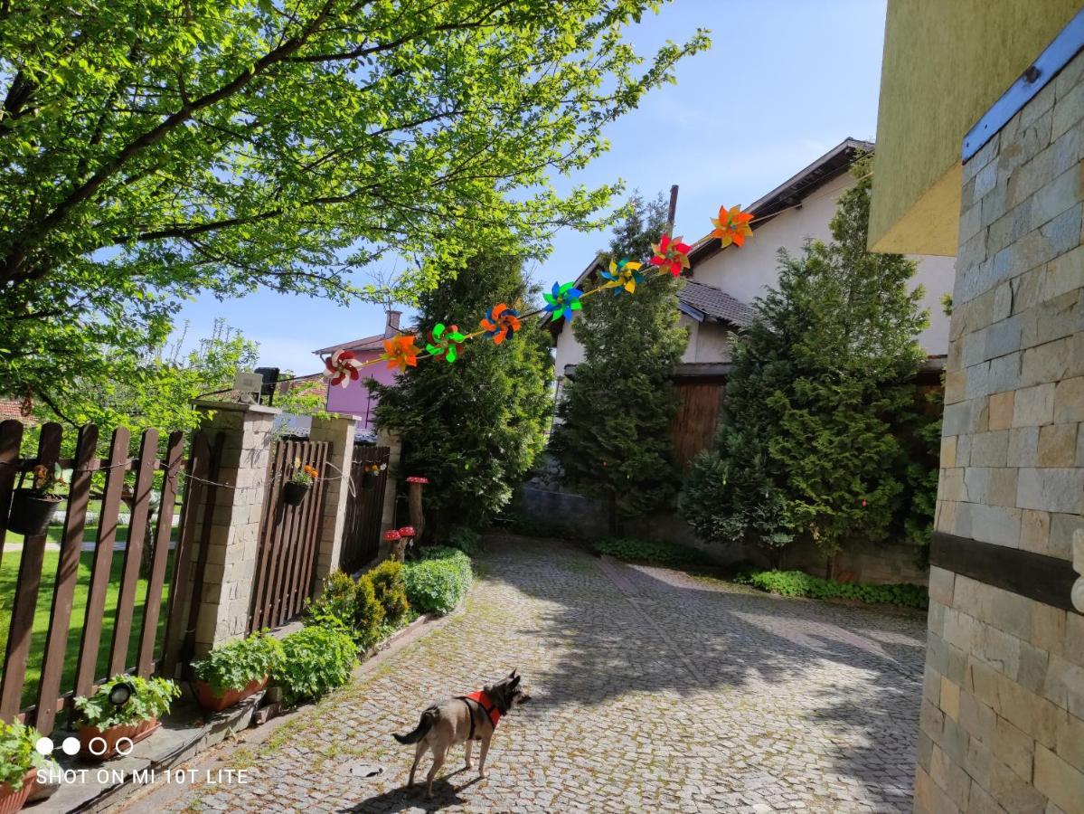 Villa Kalina Apartments Bansko Dış mekan fotoğraf