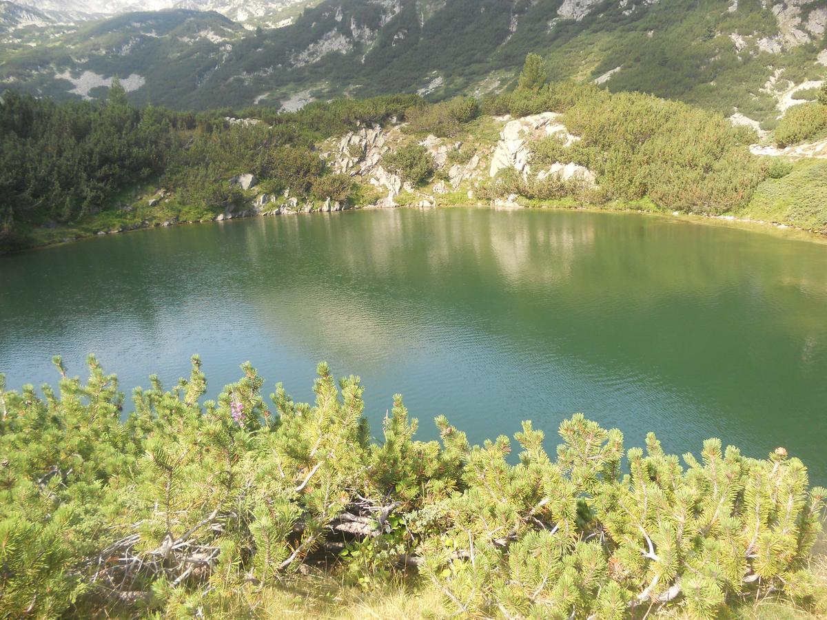 Villa Kalina Apartments Bansko Dış mekan fotoğraf